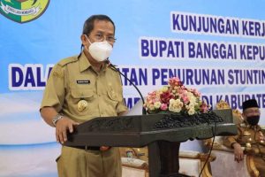 Ini Penyampaian Wabup Soal Penanganan Stunting di Parimo