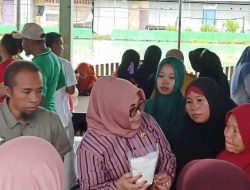 Miliki SDA Melimpah, UMKM Kecamatan Mepanga Berkembang Pesat