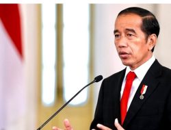 Ini Isi Pidato Presiden Joko Widodo di One Ocean Summit