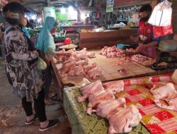 Harga Daging Ayam di PSP Naik, Sebabkan Daya Beli Masyarakat Menurun