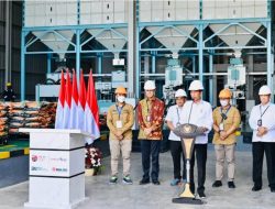Mulai Panen Raya, Jokowi Perintahkan Bulog Serap Gabah Sabanyak-Banyaknya dari Petani