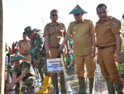 Wagub Sulawesi Tengah Ikuti Puncak Penanaman Mangrove Nasional