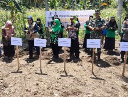 Tekan Inflasi, Pemkab Parimo Canangkan Program Gerakan Tanam Cabe