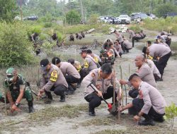 Gerakan Peduli Lingkungan, Polda Sulteng Tanam 1000 Bibit Pohon Mangrove
