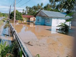 Warga Tuding Tambang Emas Ilegal Biang Kerok Banjir di Parigi Moutong, Camat Mengakui