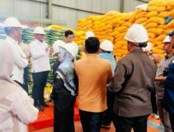 GPM Digencarkan di Parigi Moutong, Beras SPHP Dijual Rp12.500 per Kg