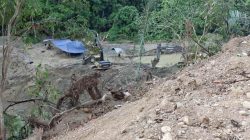Aktivitas Tambang Emas Ilegal di Buranga Kembali Marak, Pemerintah Diminta Bertindak Tegas