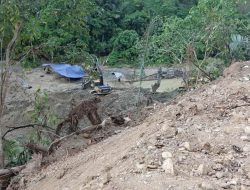 Aktivitas Tambang Emas Ilegal di Buranga Kembali Marak, Pemerintah Diminta Bertindak Tegas