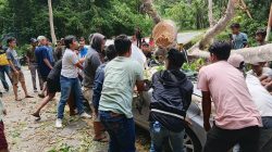 Sinergi Aparat dan Warga Selamatkan Korban Pohon Tumbang di Jalur Trans Kebun Kopi