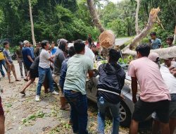 Sinergi Aparat dan Warga Selamatkan Korban Pohon Tumbang di Jalur Trans Kebun Kopi
