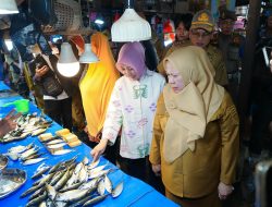 Sidak Pasar Jelang Nataru, Wagub Sulteng: Harga Bahan Pokok Relatif Terkendali