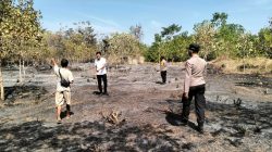 50 Pohon Mente Hangus di Parigi Barat, Api Diduga Berasal dari Tumpukan Sampah