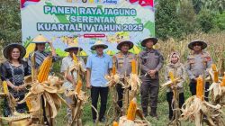 Kapolres Parimo Optimistis Panen Jagung 40 Ton di Tengah Cuaca Panas
