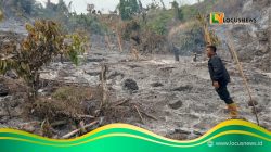 Polisi Ingatkan Bahaya Bakar Lahan Usai 1 Hektare Kebun di Parimo Terbakar