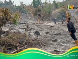 Polisi Ingatkan Bahaya Bakar Lahan Usai 1 Hektare Kebun di Parimo Terbakar