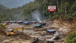 Aktivitas Tambang Emas Ilegal di Desa Tombi Berpotensi Ancam Kawasan HPT