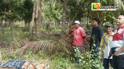 Pelajar SMP Tewas di Kebun Kelapa, Polisi Minta Warga Tak Berspekulasi