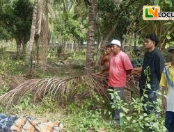 Pelajar SMP Tewas di Kebun Kelapa, Polisi Minta Warga Tak Berspekulasi