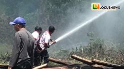 Karhutla Kembali Terjadi di Baliara, Api Sempat Membesar Sebelum Dipadamkan