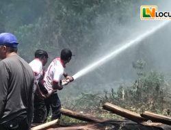 Karhutla Kembali Terjadi di Baliara, Api Sempat Membesar Sebelum Dipadamkan