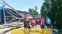 Balita Tewas Tertimpa Pohon Tumbang, Pemkab Parimo Disomasi Warga
