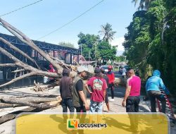 Balita Tewas Tertimpa Pohon Tumbang, Pemkab Parimo Disomasi Warga