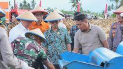 DPRD Sulteng Dukung Penguatan Ketahanan Pangan Lewat Panen Raya Jagung
