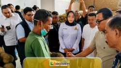 Potensi Durian Parimo Menggiurkan, Tapi Banyak Kebun Belum Bisa Ekspor