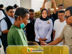 Potensi Durian Parimo Menggiurkan, Tapi Banyak Kebun Belum Bisa Ekspor