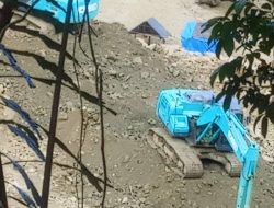 Sosok NW, Diduga Pemodal Peti di Moutong Masih Bebas Beroperasi