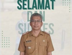 Aktivitas Peti Rusak Hutan di Ampibabo, Tim Gabungan Turun Tangan