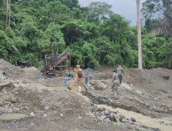 Kapolda Sulteng Baru Diuji, Tambang Emas Ilegal di Tombi Disebut Kebal Hukum