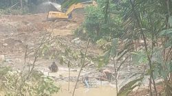 Sosok H Disebut Kendalikan Peti di Sipayo, Pemodal Lain Dikhawatirkan Masuk