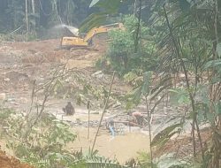 Sosok H Disebut Kendalikan Peti di Sipayo, Pemodal Lain Dikhawatirkan Masuk