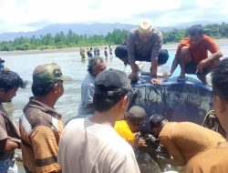 Tanpa Awak dan Penuh Barang, Speedboat Mister UN Ditemukan di Parimo