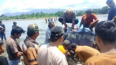 Tanpa Awak dan Penuh Barang, Speedboat Mister UN Ditemukan di Parimo