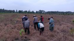 Polisi Turun ke Ladang, Dampingi Petani Sausu Tanam Jagung 1 Hektare di Malakosa