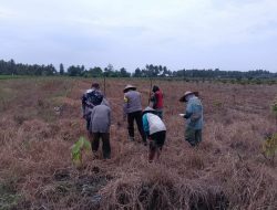 Polisi Turun ke Ladang, Dampingi Petani Sausu Tanam Jagung 1 Hektare di Malakosa