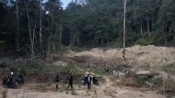 Diduga Buka Kebun Durian Jadi Modus Peti di Pegunungan Suli Indah Parimo