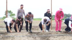 Target 40 Hektare Bawang Putih di Parimo, Polri Siap Kawal hingga Panen