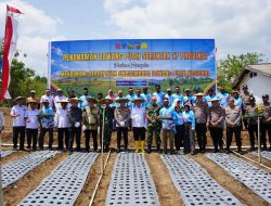 Ketua Komisi I DPRD Sulteng Dukung Gerakan Serentak Tanam Bawang Putih di Sigi