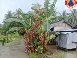Banjir Rendam Tiga Desa di Parigi Moutong, 115 KK Terdampak