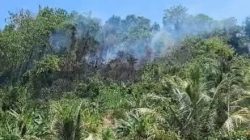 9.100 Titik Api Terdeteksi di Sulteng, Dishut Minta 13 KPH Gencarkan Cegah Karhutla