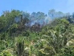 9.100 Titik Api Terdeteksi di Sulteng, Dishut Minta 13 KPH Gencarkan Cegah Karhutla