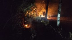 Karhutla 5 Titik di Parigi Moutong, 5,4 Hektare Lahan Terbakar