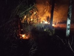 Karhutla 5 Titik di Parigi Moutong, 5,4 Hektare Lahan Terbakar