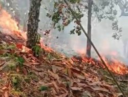 Kebakaran Lahan di Parimo Meluas ke Kawasan Hutan, 3,5 Hektare Terdampak