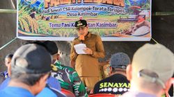 Surplus Beras Parimo Anjlok, Bupati Andalkan Cetak Sawah Kejar Swasembada