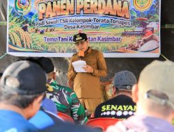 Surplus Beras Parimo Anjlok, Bupati Andalkan Cetak Sawah Kejar Swasembada