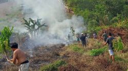 Kebakaran Lahan di Tinombo, BPBD Soroti Bahaya Bakar Sampah